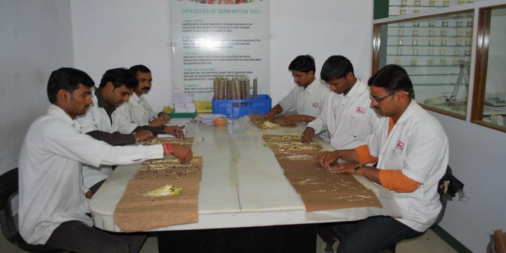 Balaji Seeds