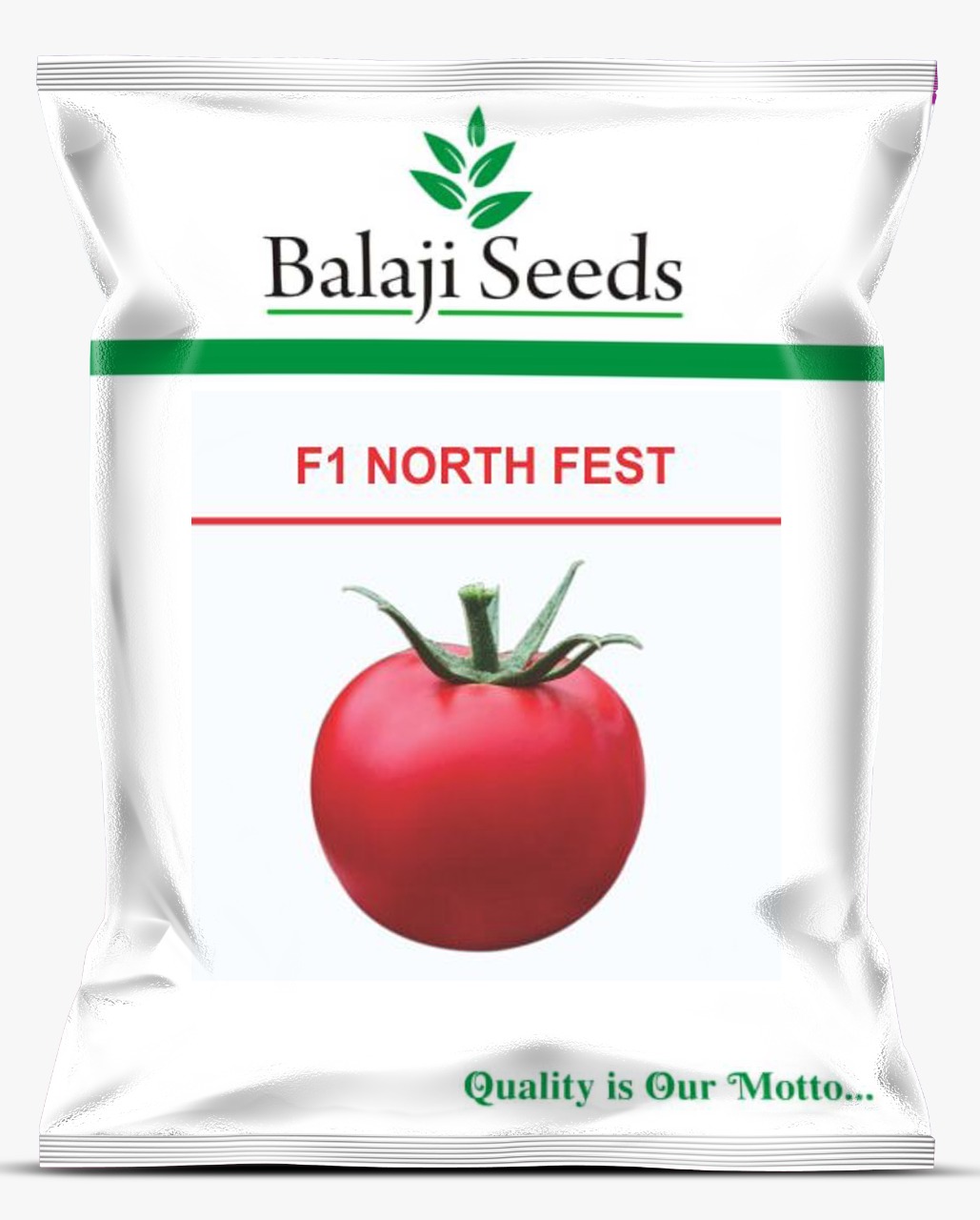 F1 NORTH FEST