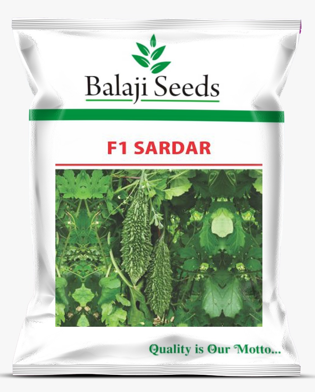  F1 SARDAR-489