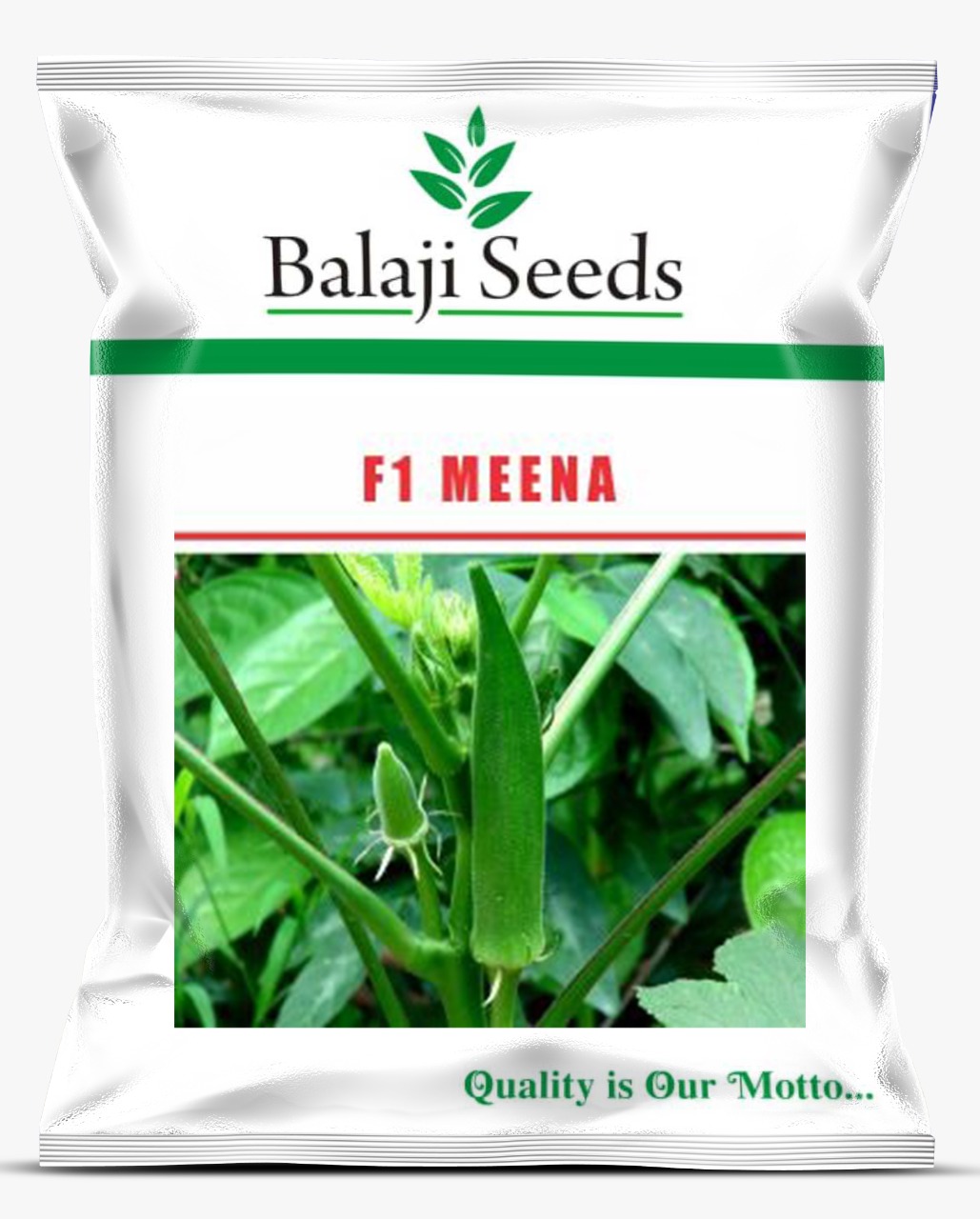 F1 MEENA