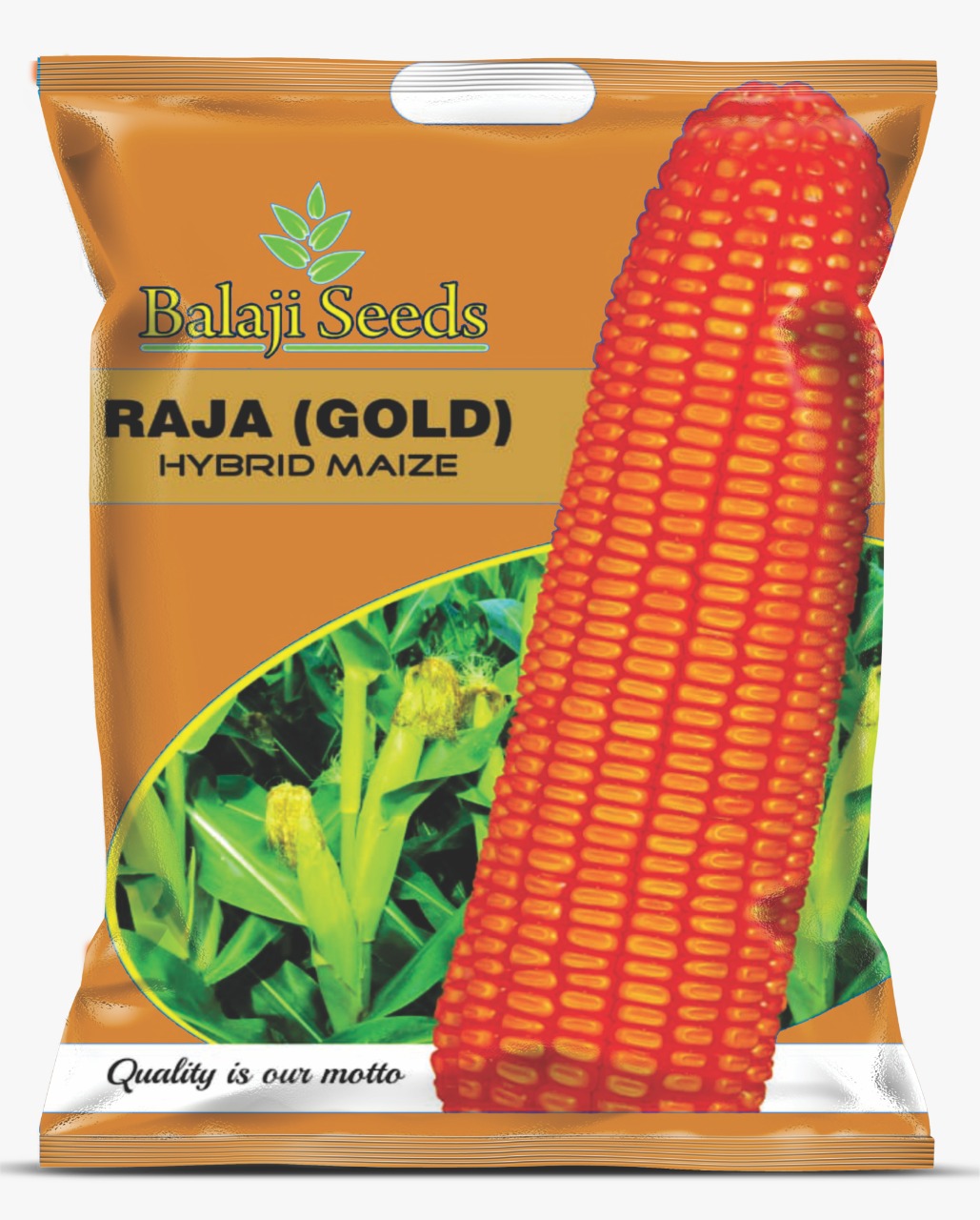 F1 RAJA GOLD