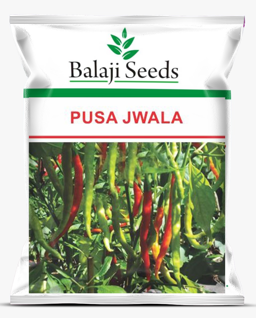 BS – TEJA