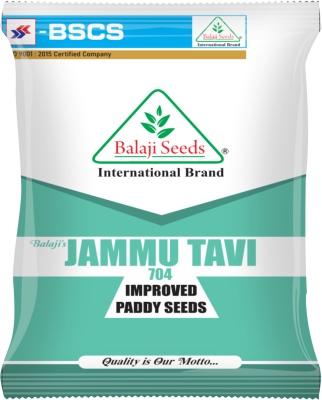 Jammu Tavi