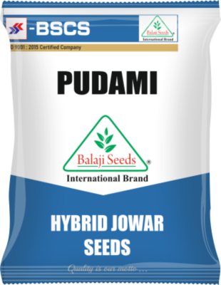 Pudami