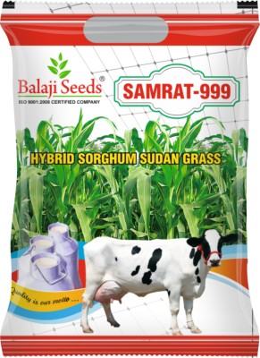 Samrat 999