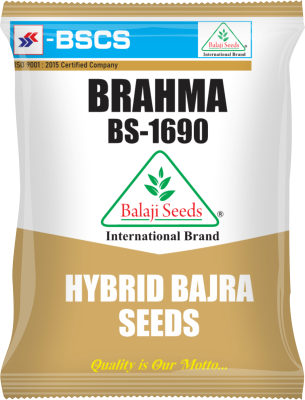 Brahma BS-1690 Hybrid Bajra Seeds