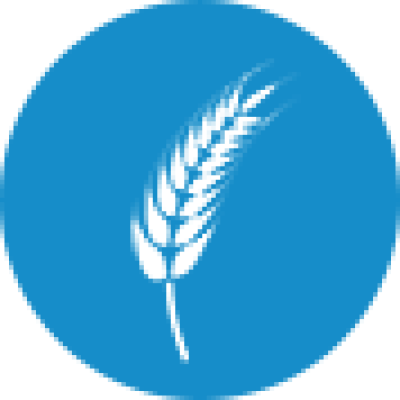 Hybrid Paddy