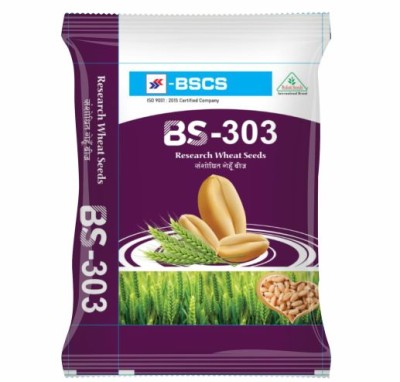 IMP. WHEAT BS-303