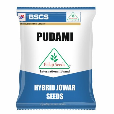 HY. JOWAR PUDAMI BS-16