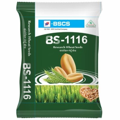 IMP. WHEAT BS-1116